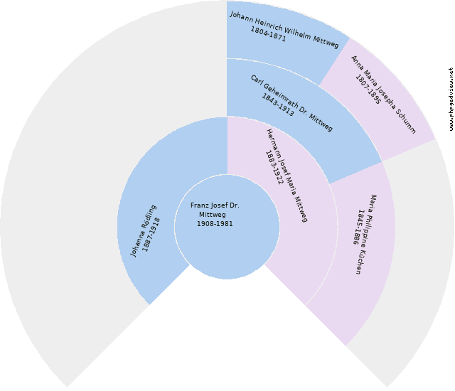 Cecilia Mittwech Kreisdiagramm