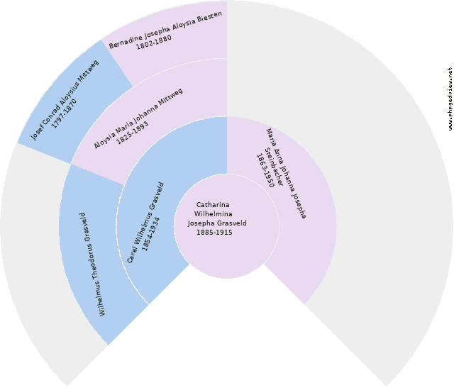 Rudger Schilders Kreisdiagramm