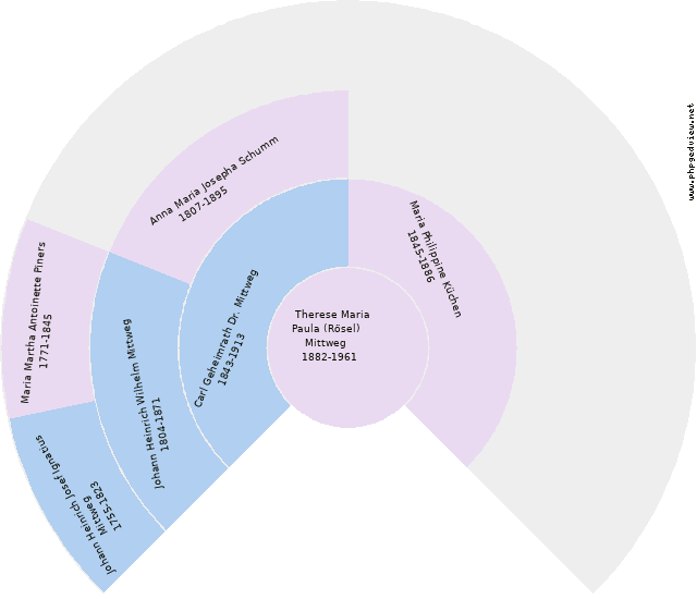 Pauline Mittweg Kreisdiagramm