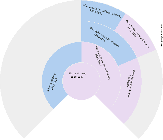 Bernadine Josepha Aloysia Biesten Kreisdiagramm