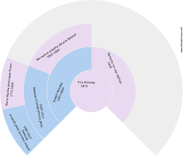 Johann Heinrich Wilhelm Mittweg Cirkeldiagram