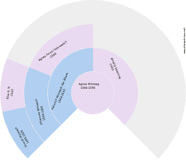 Johann Dickens Kreisdiagramm