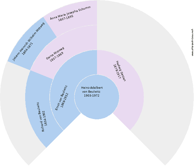 Vilma von Galos Kreisdiagramm