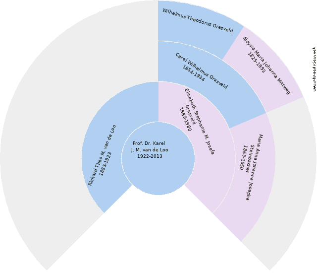 Theodora Hopmann Circle Diagram