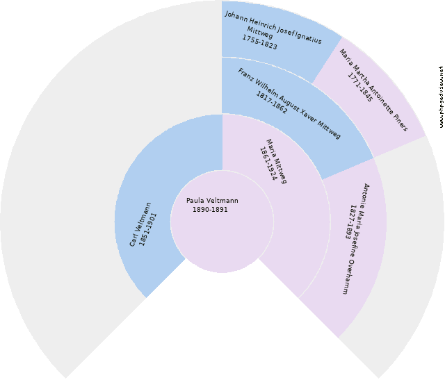 Fritz Dr. Schlemmer Kreisdiagramm
