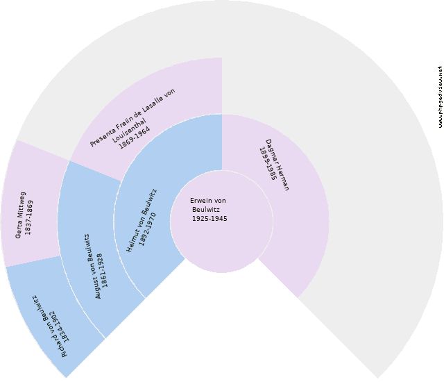 Catharina Mittwech Diagrama circular