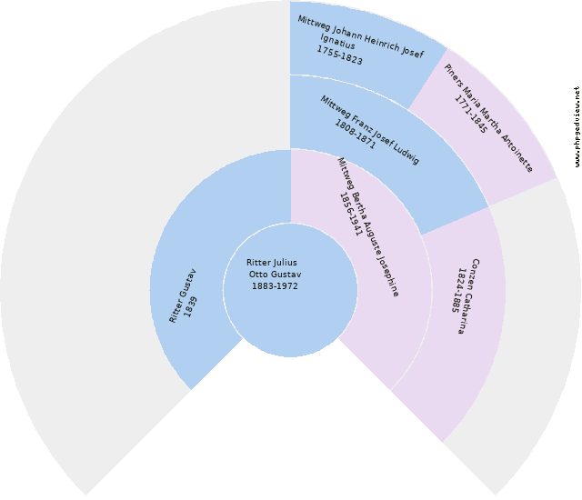 Heinrich Dr. Gatzen Diagrama circular