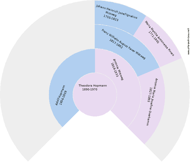 Maria Mittweg Circle Diagram