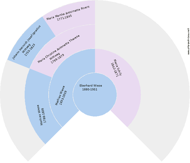 Cecilia Mittwech Kreisdiagramm
