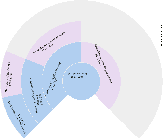 Gisela Mittweg Diagrama circular