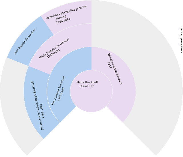 Hinrich Mytwech Diagramma Circolare