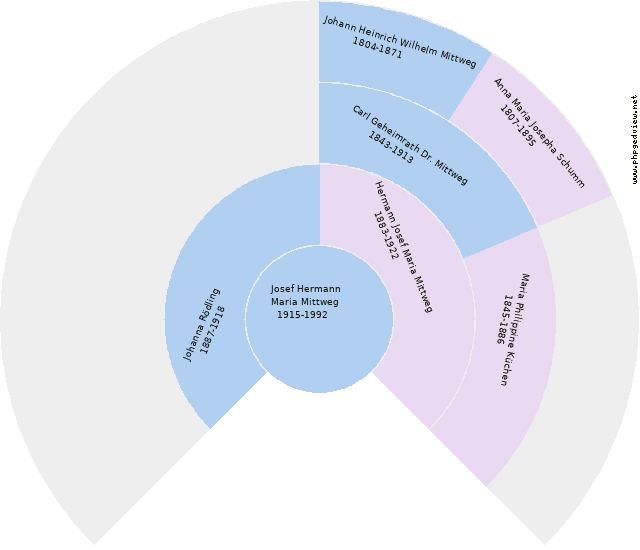 Anna Möllmann Diagrama circular