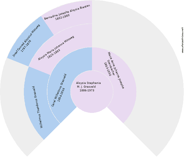 Martha Menken Kreisdiagramm