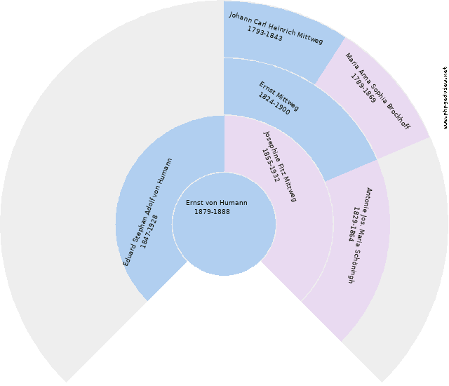 Maria Anna Johanna Josepha Steinbacher Cirkeldiagram