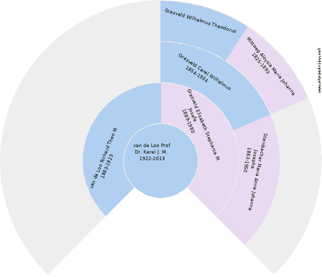 Margita Danckelmann Diagrama circular