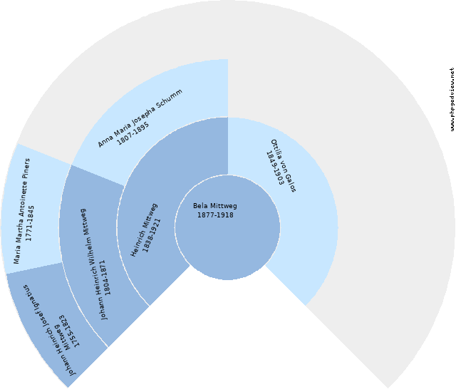 Anna Mittweg Kreisdiagramm