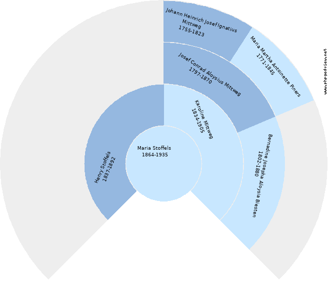 Ottilia Anna Mária Mittweg Kreisdiagramm